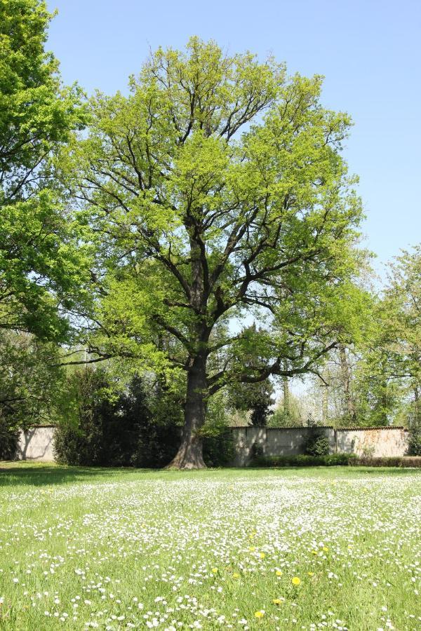 نيرفيانو Storica Quercia B&B المظهر الخارجي الصورة
